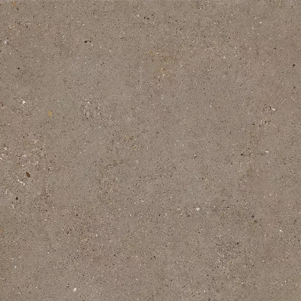 

Напольная плитка «Halcon Ceramica» Doge Mat. 60x60 00000016722 rialto