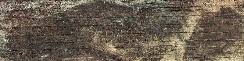 Настенная плитка «Cifre Ceramica» Colonial Wood 30x7,5 00000014904 nature