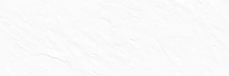 Настенная плитка «Delacora» Leon Matt. 74x24,6 WT15LEN00R white