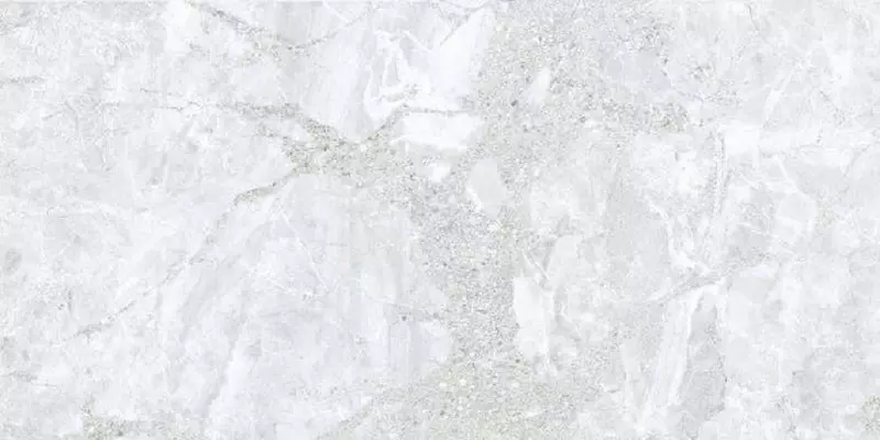 

Напольная плитка «Eurotile Ceramica» Dolomite 782 Polish. 120x60 01-00084714 серый