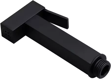 

Ручная гигиеническая лейка «Allen Brau» Infinity 5.21A05-31 чёрная матовая