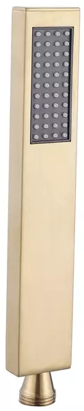 

Ручная лейка «Abber» AF0050G матовое золото
