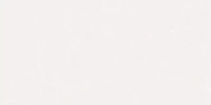 

Напольная плитка «Realistik» Pure Matt. 120x60 carving 59712 blanco