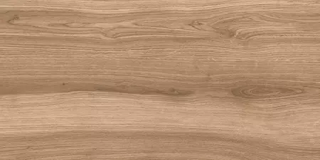 

Напольная плитка «Staro» Slim Madera Matt. 120x60 С0005266 dark