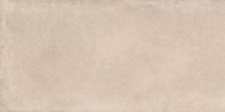 

Напольная плитка «Dado Ceramica» Basic Matt. 120x60 тон R064DD D303465 beige