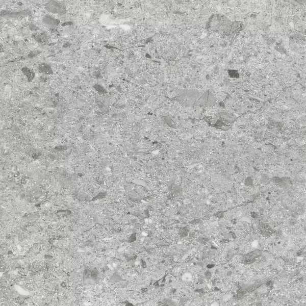 

Напольная плитка «Staro» Silk Canyon Matt. 60x60 С0005418 silver
