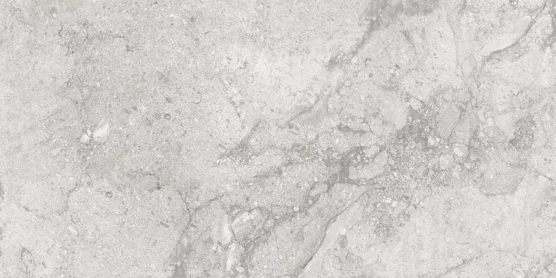 

Напольная плитка «Staro» Sandstone Matt. 120x60 С0005414 silver