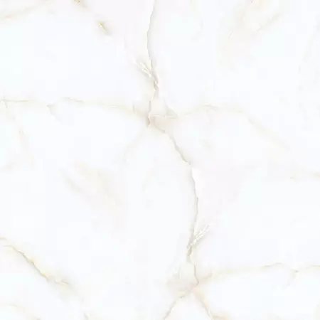 

Напольная плитка «Italica» Passion Onyx Polished 120x120 28 922866 white