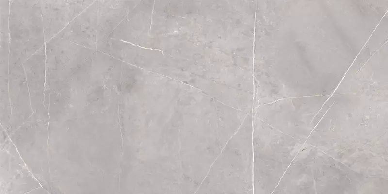 

Напольная плитка «Etile» Sutile Polish. 160x80 162-008-21 gris