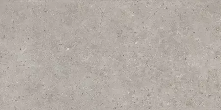 

Напольная плитка «Kerama Marazzi» Риккарди Matt. 119,5x60 SG519920R серый светлый