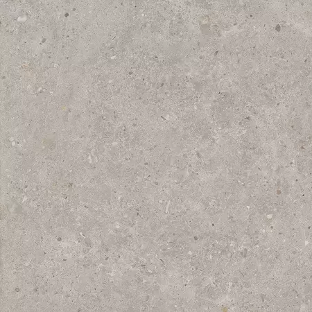 

Напольная плитка «Kerama Marazzi» Риккарди Matt. 60x60 SG653720R серый светлый