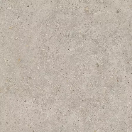 

Напольная плитка «Kerama Marazzi» Риккарди Matt. 60x60 SG653820R бежевый