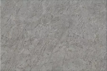

Настенная плитка «Kerama Marazzi» Каприччо Glossy 30x20 8353 серый