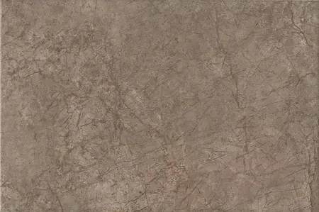 

Настенная плитка «Kerama Marazzi» Каприччо Glossy 30x20 8354 коричневый