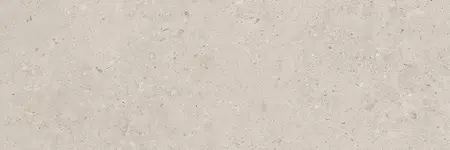 

Настенная плитка «Kerama Marazzi» Риккарди Matt. 120x40 14054R бежевый