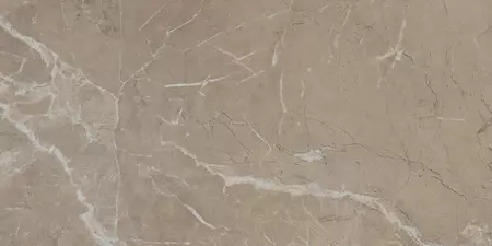 

Настенная плитка «Kerama Marazzi» Серенада 60x30 11245R бежевый тёмный