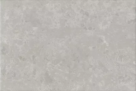 

Настенная плитка «Kerama Marazzi» Ферони Matt. 30x20 8348 серый