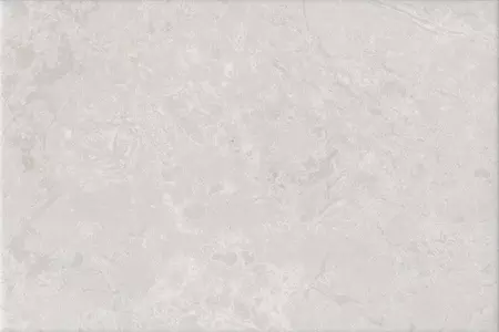

Настенная плитка «Kerama Marazzi» Ферони Matt. 30x20 8349 серый светлый