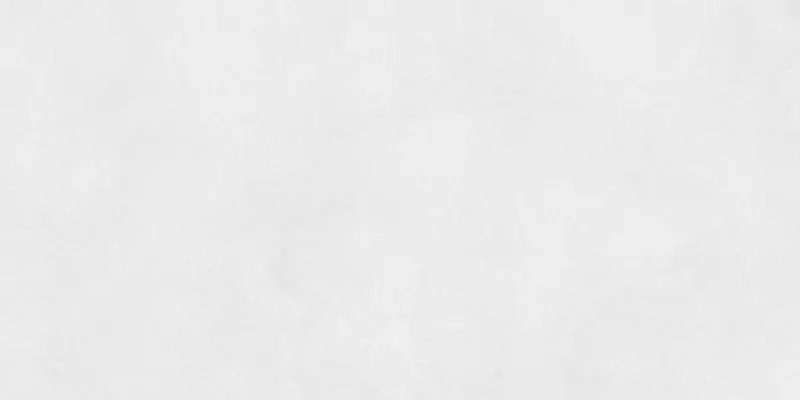 

Напольная плитка «Ennface» Gypsum Matt. 120x60 ENLFT4011MT60120 sharkskin