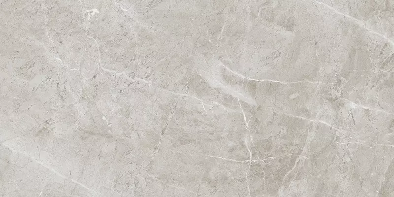 

Напольная плитка «Ennface» Ice Glossy 120x60 ENSTN1017GL60120 flake