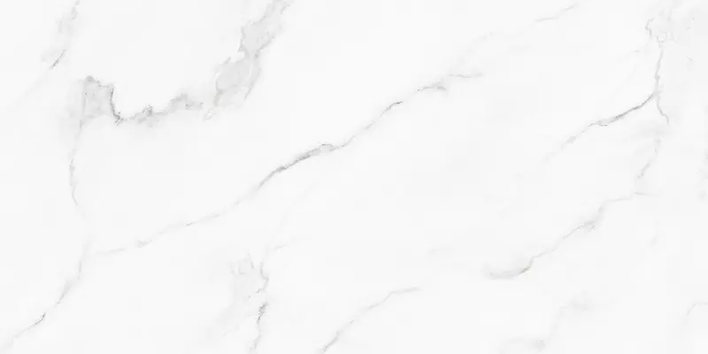 

Напольная плитка «Ennface» Statuario Matt. 120x60 ENMAR1029MT60120 carmel