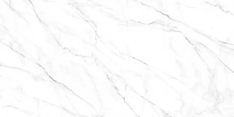 

Напольная плитка «Alma Ceramica» Neo Calacatta Matt. 120x60 GFU60120NCL07R серый
