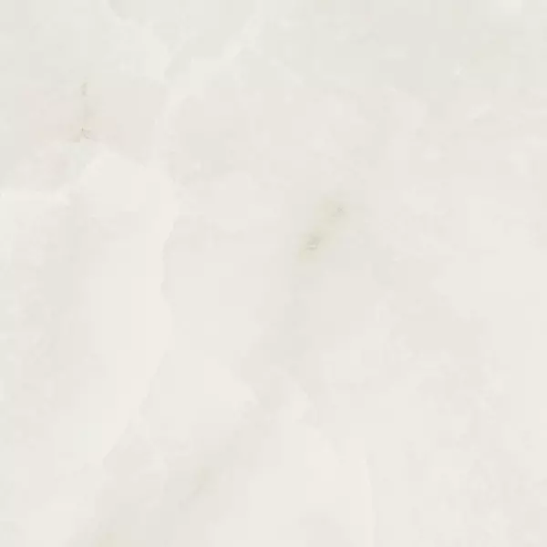 

Напольная плитка «Fanal» Onix Nplus 90x90 922896 blanco