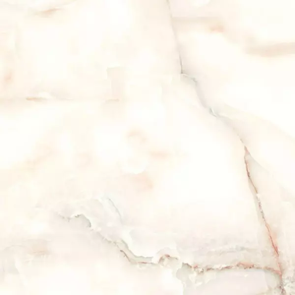 

Напольная плитка «ITC» Onyx Glossy (Индия) 60x60 00000016960 white
