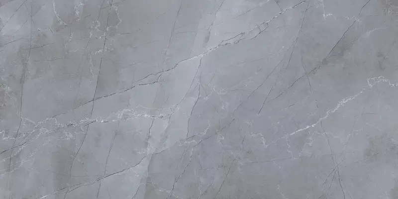 

Напольная плитка «LV Granito» Jordan Glossy 120x60 СК000041374 dark grey