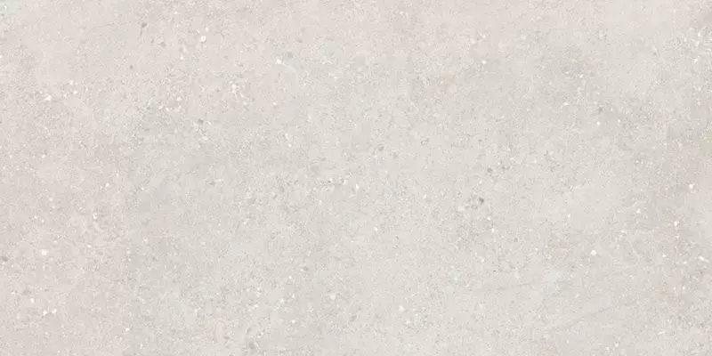 

Напольная плитка «STN Ceramica» Flax Matt. 120x59,5 N30056 pearl