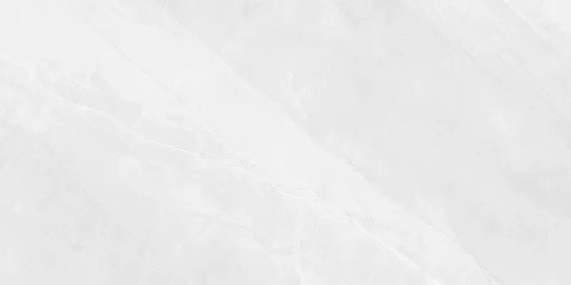 

Напольная плитка «LV Granito» Scambio Glossy 120x60 СК000041666 white