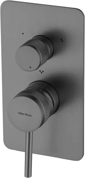 

Смеситель для душа «Allen Brau» Priority X3 5.31A11-MG брашированный графит