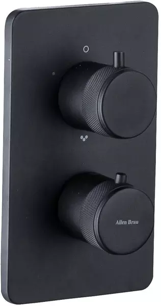 

Смеситель для душа «Allen Brau» Priority V.3 5.31314-31 с термостатом чёрный матовый