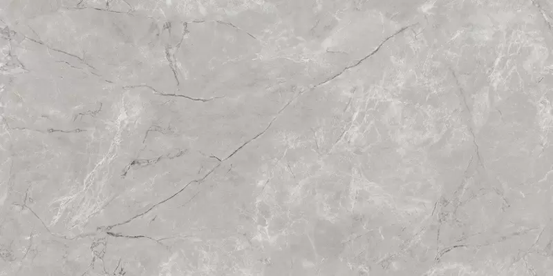 

Напольная плитка «Neodom» Techno Matt Siena Tm Matt. 160x80 N20449 grey