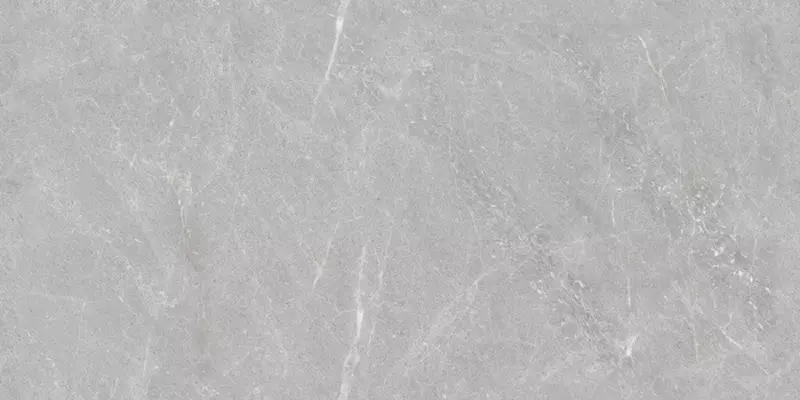 

Напольная плитка «Neodom» London Firenze Tm Matt. 120x60 N20438 grey