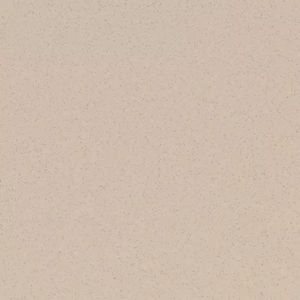 

Напольная плитка «Estima» Standard ST 17 Matt. 60x60 15385 бежевый