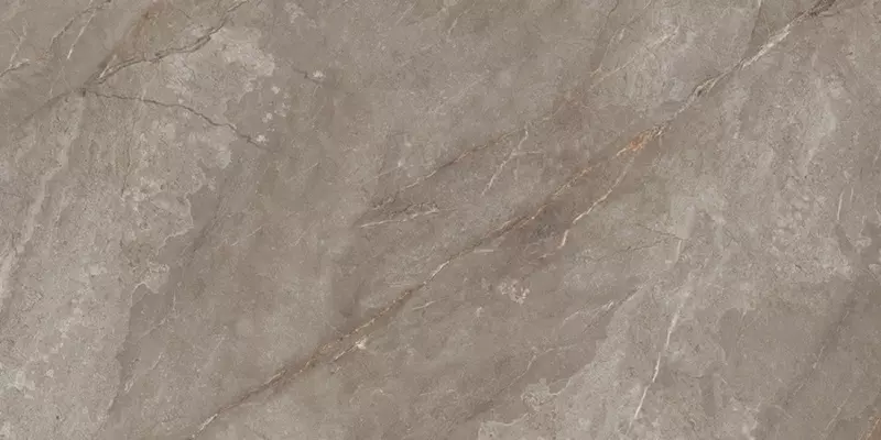 

Напольная плитка «Neodom» Belvedere Polish. 120x60 N20483 orobico brown