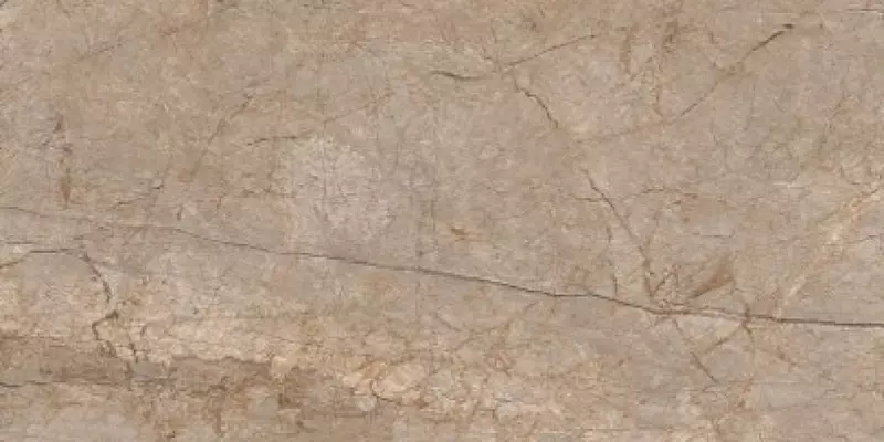 

Напольная плитка «Cersanit» Silver Roots Matt. 120x60 A17056 серый