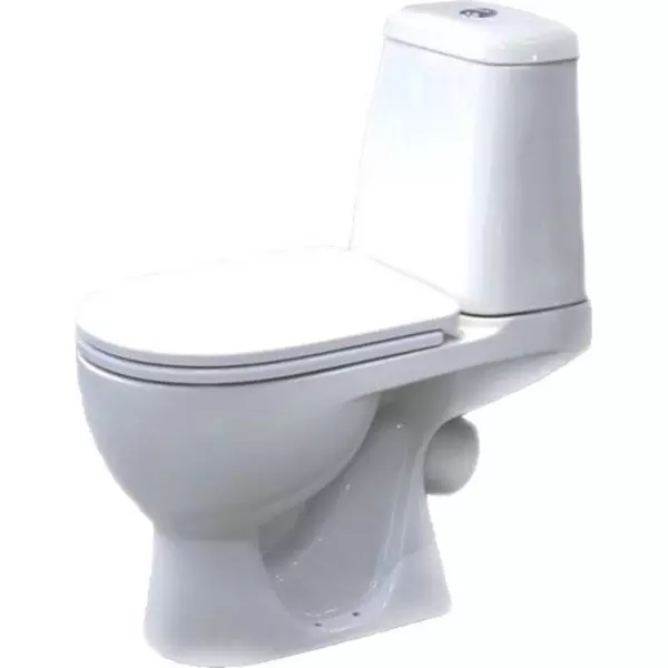 

Унитаз компакт «Sanita Luxe» Max WC.CC/Max/2-DM/WHT.G/S1 белый с сиденьем дюропласт с микролифтом белое