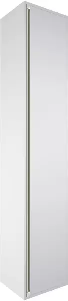 Пенал Allen Brau Activity 35 R подвесной белый матовыйолива браш 307957 правый 99204₽