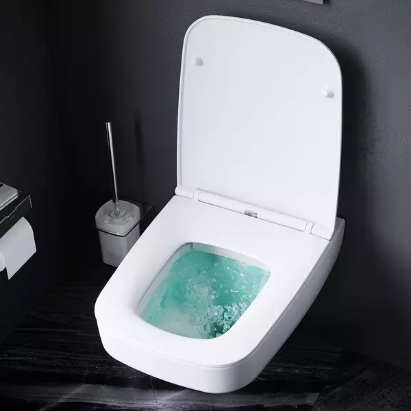 Подвесной унитаз безободковый «AM.PM Plus» Inspire V2.0 Plus C50A1700BSC белый с сиденьем дюропласт с микролифтом