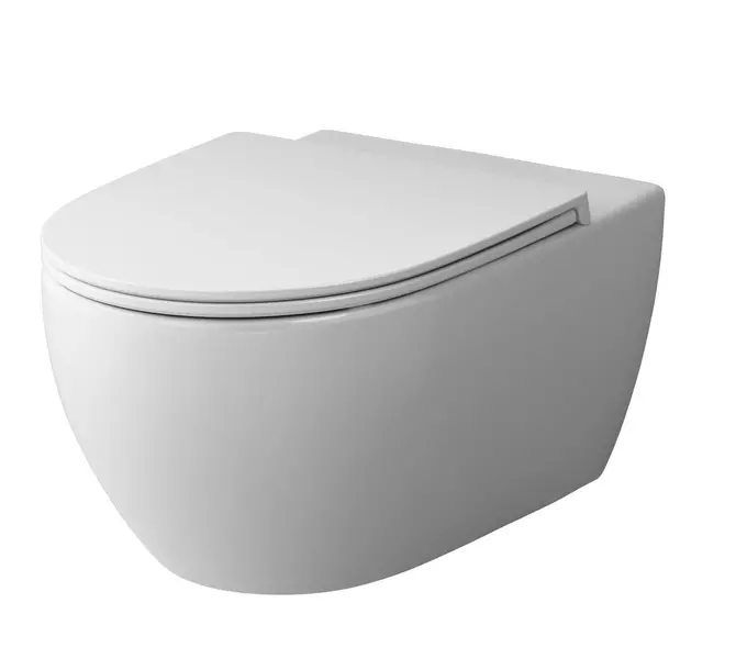 

Подвесной унитаз безободковый «AM.PM Plus» Awe Plus C111700BWH белый без сиденья