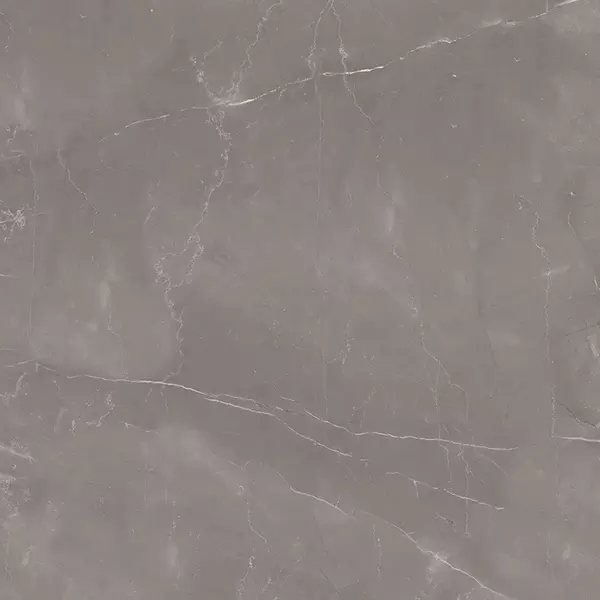 

Напольная плитка «Colortile» Armani Satin. 60x60 00-00795725 gris