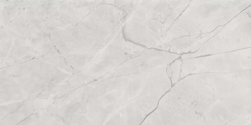 

Напольная плитка «Laparet» Connect Polish. 119,1x59,5 SG50002922R gris