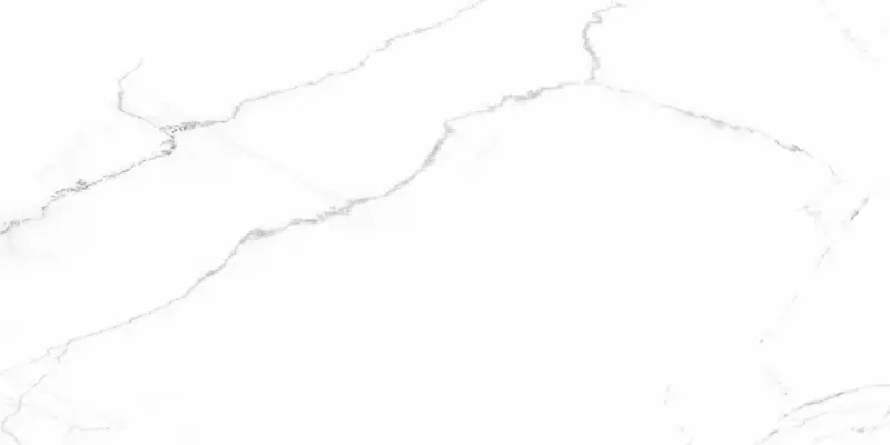 

Напольная плитка «Laparet» Discovery Polish. 119,1x59,5 SG50002422R blanco