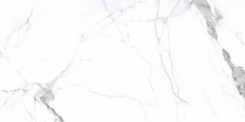 Напольная плитка «Primavera» Colonial Polish. 120x60 PR206 white