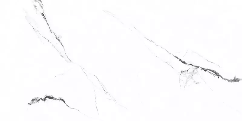 

Напольная плитка «Primavera» Videl Matt. 120x60 sugar SR204 bianco