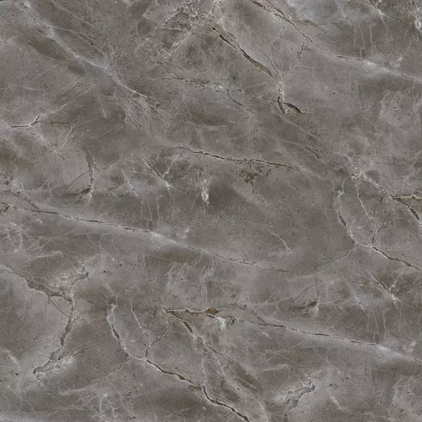 Напольная плитка «Тянь-Шань Керамик» Дамон Matt. 41x41 TP413628D серый