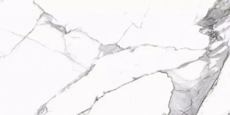 

Напольная плитка «Cerrad» Calacatta Matt. 119,7x59,7 5903313315418 white