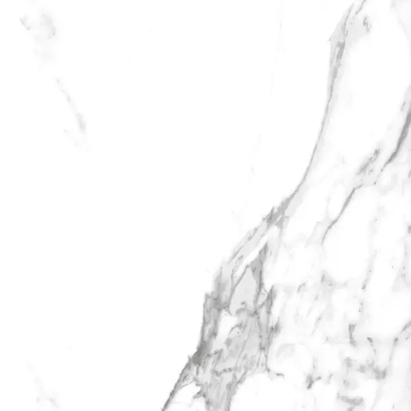 

Напольная плитка «Realistik» Carrara X Satin. 60x60 58665 white